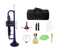 Principianti Tromba Tromba Standard In Ottone Tromba In Sib Si Piatto Con Bocchino Borsa Per Il Trasporto Sintonizzatore Supporto Per Tromba Muto Guanti Strumenti Per La Pulizia tromba (Color : 03)