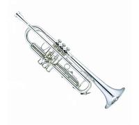 Principianti Tromba Tromba Standard Ottone Placcato Argento Struttura Classica Strumenti A Tromba Ottoni tromba
