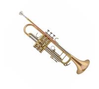 Principianti tromba Tromba Tritone Bb B Flat Wind Band Strumento A Tromba Banda Per Esame Di Prestazioni Professionali Per Adulti