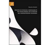 Principio di efficienza e responsabilità per danno erariale dei funzionari dell'amministrazione finanziaria