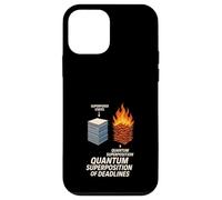 Principio di incertezza del gatto di Schrödinger Meme di fisica quantistica Custodia per iPhone 12 mini