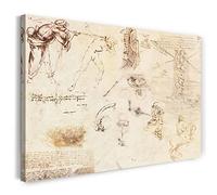 Printed Paintings Stampa su Tela (80x60cm): Leonardo da Vinci - Vari Disegni