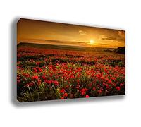 printerland.it Quadro Moderno FIORI Papaveri Alba Quadri moderni da Parete XXL grande Stampa su tela Canvas Decorazione Murale muro Soggiorno Arredo Camera da letto Cucina (70x100cm, 6)