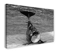 Printistico Stampa su Tela (120x80 cm) Orca assassina, mare sottomarino, sorriso dolce, bianco e nero, foto di animali, fotografia naturalistica, telaio in vero legno con gancio
