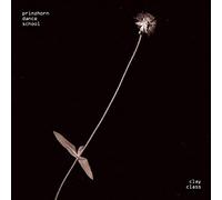 Prinzhorn Dance School - Clay Class