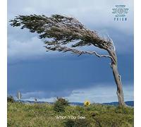 Prism - What You See