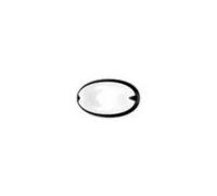 Performance 5782 plafoniera in vetro ovale montaggio parete-soffitto esterno des
