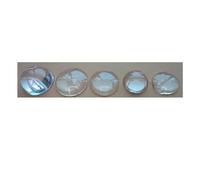Prismi e caleidoscopi 5PCS 6 8 10mm Mini lunghezza ottica LED ottica condensatore convesso lente LED Kit di ottica per aule di scienze (Size : 8mm)