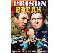 Prison Break (DVD)