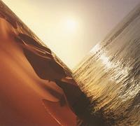 Pritchard, Mark - Under The Sun