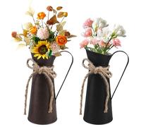 PRITOK - Set di 2 vasi decorativi vintage in metallo, decorazione da tavolo, per latte in stile retrò, per ufficio, casa, giardino