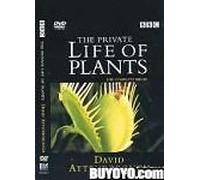 Private Life Of Plants, The (DVD Box Set)