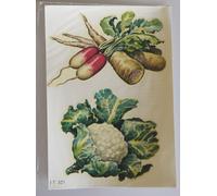 PRL) 1960 DECALCO DECALCOMANIA DECAL '60 DECORO CASA ARREDAMENTO ALBUM P4
