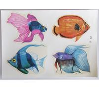 PRL) 1960 DECALCO DECALCOMANIA DECAL '60 DECORO CASA ARREDAMENTO ALBUM R9