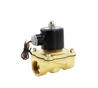 PRNDKYQZ Valvola di commutazione pneumatica elettrovalvola normalmente Chiusa valvola Elettronica 12V valvola di Controllo Elettronica 24v Bobina 220v(2W200-20,DC12V)