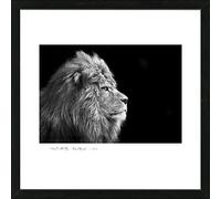 PRO-Art an503j2 - Quadro Scandic-Living - Living 'Lion' 55 x 55 cm