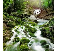 Pro-Art-Bilderpalette Murale Arte Vetro, Multicolore, 50 x 50 cm