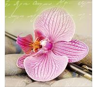 Pro-Art-Bilderpalette Murale Arte Vetro, Multicolore, 50 x 50 cm