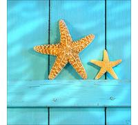 PRO-Art gla012a - Stampa con Copertura in Vetro Raffigurante Stelle Marine, 30 x 30 cm