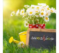 PRO-Art gla1089d murale, Arte su Vetro 'Sunshine' 20 x 20 cm