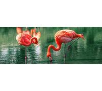 PRO-Art gla1134 C murale, Stampe da Parete Arte su Vetro 'Flamingo i' 80 x 30 cm