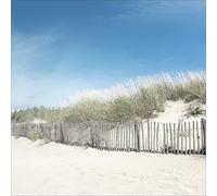 PRO-Art gla1137b murale, Arte su Vetro 'Inviting Sabbia Dunes' 50 x 50 cm