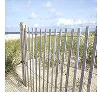 PRO-Art gla662a - Quadro da Parete su Vetro Sand Sedge II, 30 x 30 cm