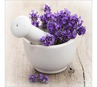 PRO-Art gla730b - Quadro da Parete su Vetro Lovely Lavender III, 50 x 50 cm