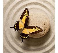 PRO-Art gla991b - Dipinto murale Butterfly I, Arte su Vetro, 50 x 50 cm