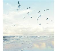 Pro-Art Quadro in vetro Seagulls On The Beach, 30 x 30 cm