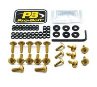 PRO BOLT FSU210G KT FAIR SUZ GD PER SUZUKI GSX 1300 BK ABS B-KING 2011