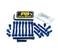Pro Bolt Kit De Vis De Moteur Kawasaki Ex 300 13-16/ex 300 Abs 13-17