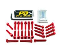 Pro Bolt Kit Di Viti Per Motore Kawasaki Z 900 Rs Abs 18-24