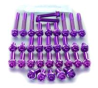 Pro-Bolt Kit Tornillería aluminio Race Spec Motor ESU164HXR