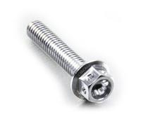 Pro-Bolt LHX650RE Ergal Testa Forata Viti, M6 x 1.00mm x 50mm, Argento