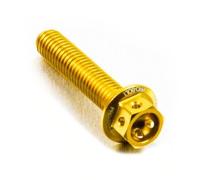 Pro-Bolt LHX660RE Ergal Testa Forata Viti, M6 x 1.00mm x 60mm, Oro