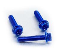 Pro-Bolt LHX830RE Ergal Testa Forata Viti, M8 x 1.25mm x 30mm, Blu