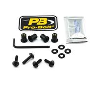 PRO BOLT SK405BK SCR KIT SCREEN 4 BLK KAWASAKI ZX-10 R 1000 NINJA 2019