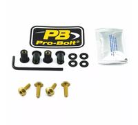 PRO BOLT SK4G SCR KIT SCREEN 4 GD YAMAHA YZF-R1 1000 ABS WORLD GP 60TH ANN. 2022