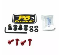 PRO BOLT SK4R SCR KIT SCREEN 4 RD KAWASAKI Z 800 ABS E VERSION 2016