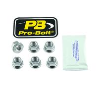 PRO BOLT SS6SPN10F SPKT NUT SS 10X1 6 DUCATI 1098 BIPOSTO 2008