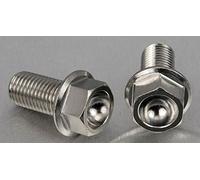 Pro-Bolt SSRBMON190 - Set di viti per pinza del freno anteriore in acciaio INOX, colore: Naturale