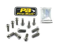 PRO BOLT TI12DISCDUC10 KIT BRAKE DISC TIT M8X20 APRILIA RSV 1000 MILLE 1998