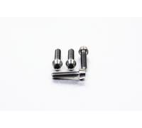 PRO BOLT TIBCPERCH40 BR/CL LEV PIN BT KT TIT KAWASAKI KLE 650 ABS VERSYS LT 2019