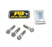 PRO BOLT TIFBMON130R KIT MONTAGGIO PINZA FRENO IN TITANIO BMW R 1200 S 2008