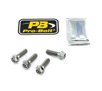 PRO BOLT TIFBMON280R KIT MONTAGGIO PINZA FRENO IN TITANIO BMW K 1300 R ABS 2013
