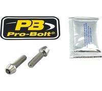 PRO BOLT TIRBMON80 BR CA MT BT KT RR TIT BMW K 1300 R ABS 2011