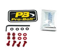 Pro Bolt Viti Del Parabrezza Scr 4/nu Sk412r