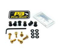 PRO BOLT SK6G SCR KIT SCREEN 6 GD HONDA CBR 600 RR 2003