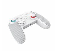 Pro Controller per Nintendo Switch + Cavo USB Mars Gaming GXT 1246W